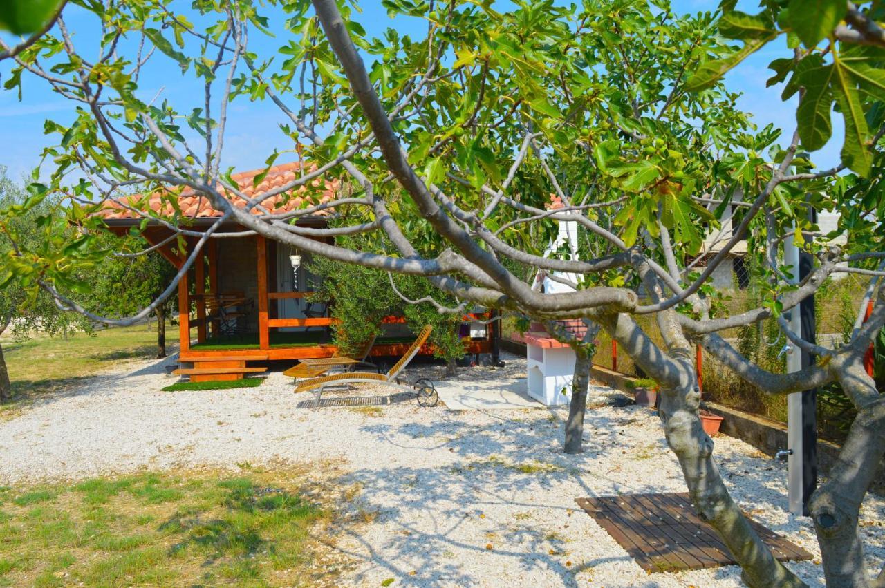Studio Apartments Luka Biograd - Benkovac Exterior photo