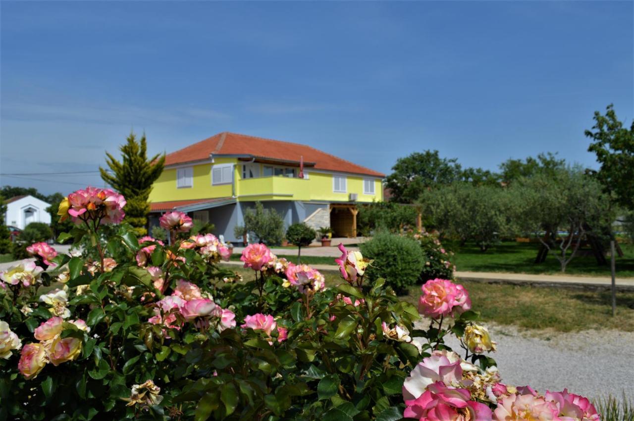 Studio Apartments Luka Biograd - Benkovac Exterior photo