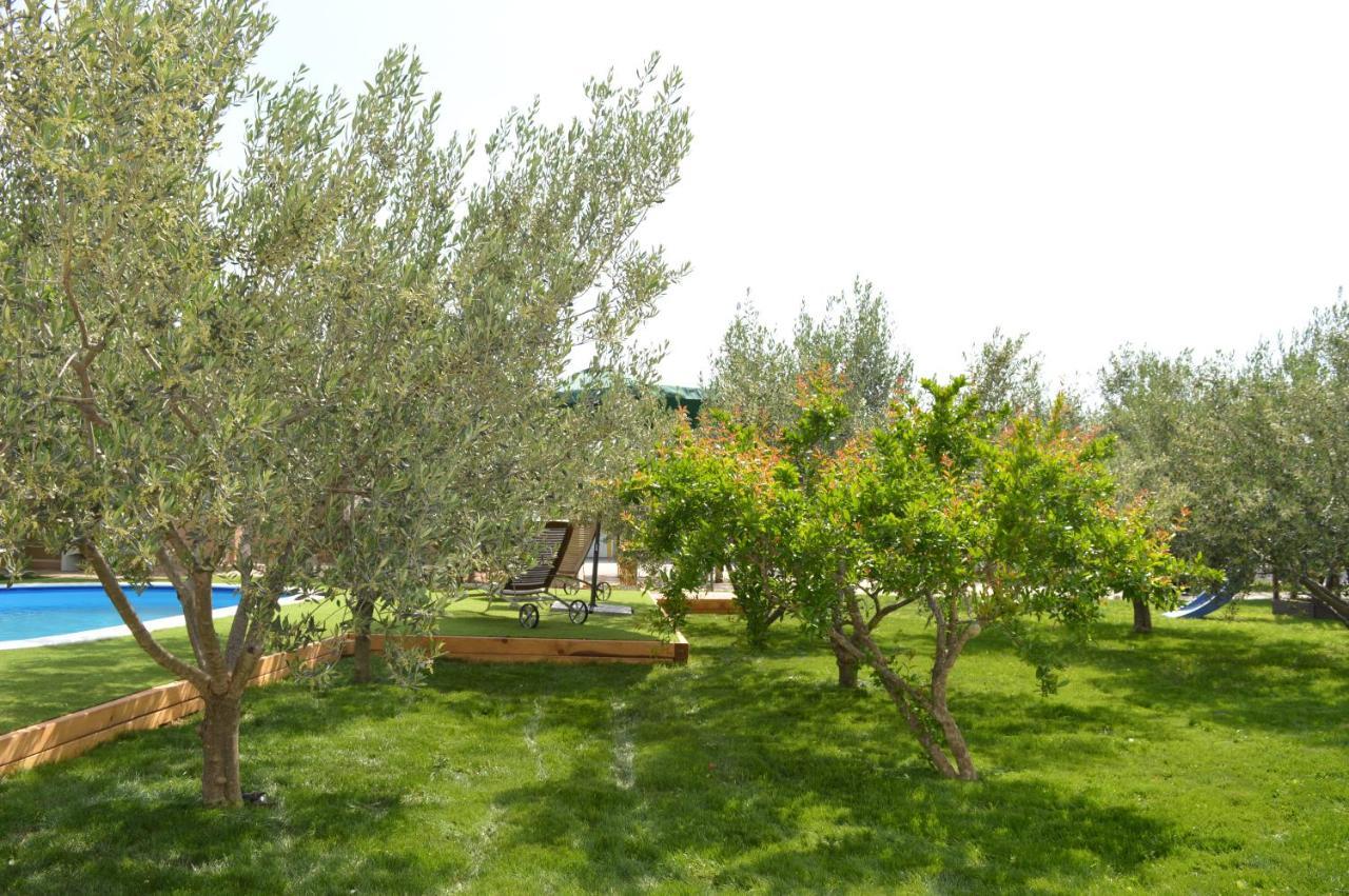 Studio Apartments Luka Biograd - Benkovac Exterior photo